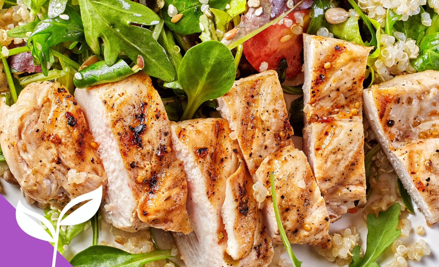 Grilled chicken served with a fresh mixed salad